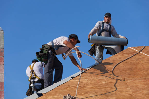 Best Storm Damage Roof Repair  in Baltimore Highlands, MD